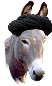 230390_163468417050889_100001631967079_411986_3884488_n