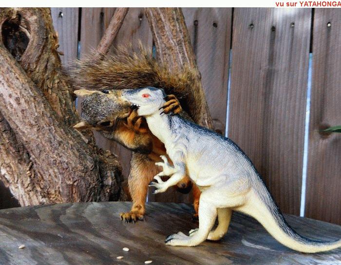 tu_ne_vas_pas_faire_la_timide