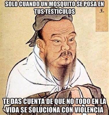 1794603_10201636023368657_507754016_n