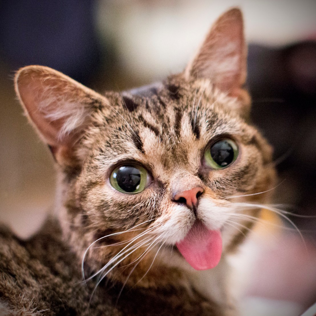 tumblr_n6nmnpi66I1r69a5mo1_1280