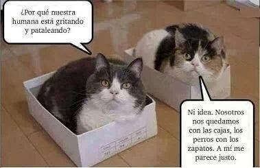 993803_593244224087011_1581161322_n