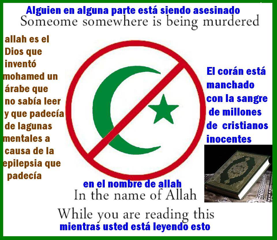 599431_178694732338049_1534968185_n