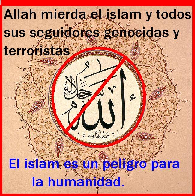 1425512_178693315671524_970558985_n