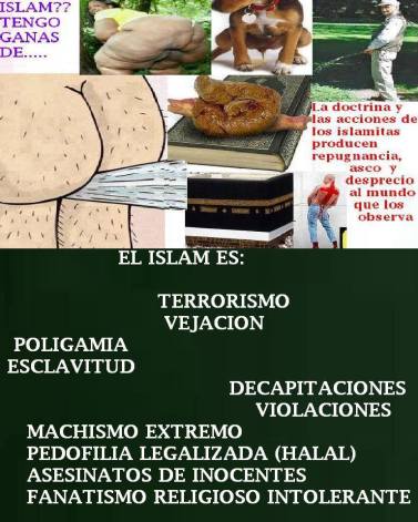 946969_215832031919352_1311291457_n