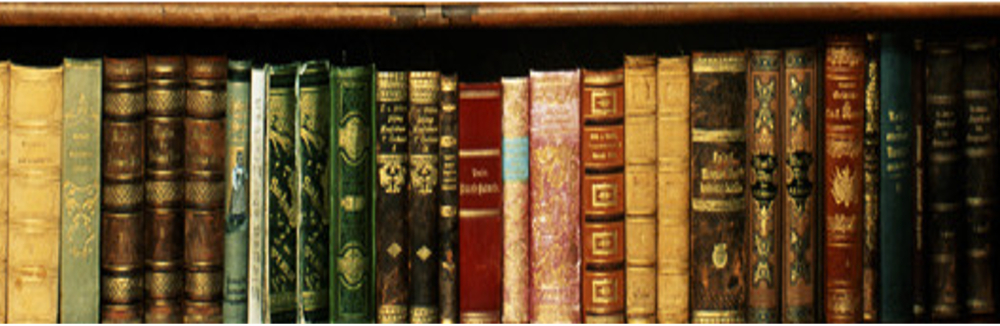 EL PARAÍSO DE LA&nbsp;LECTURA…