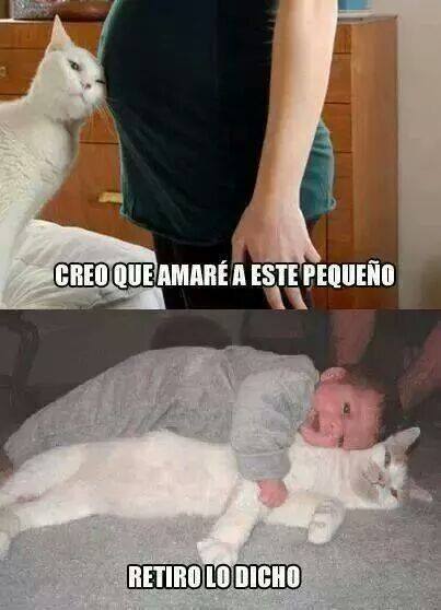 10931724_1559984627621977_4403607874513925763_n