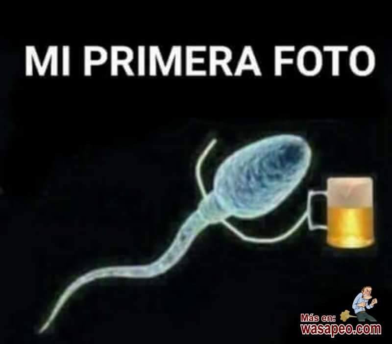 11329888_1626135264340246_1309544161907735813_n