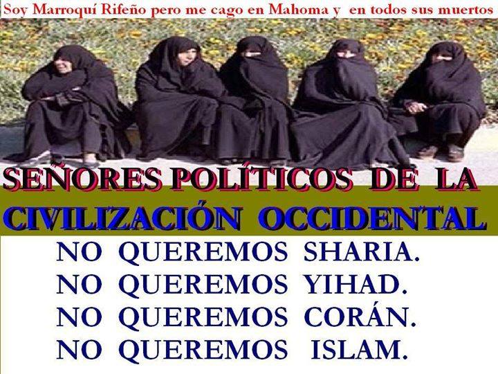 11377383_10204249740392884_8541943566077326082_n