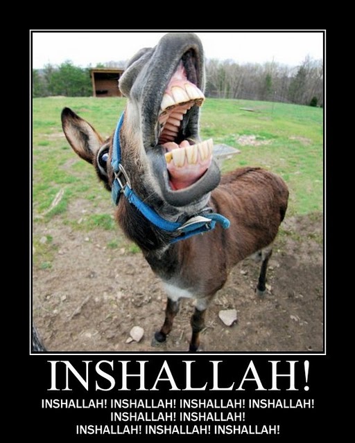 58228_105440512848572_100001478712898_44037_3201742_n