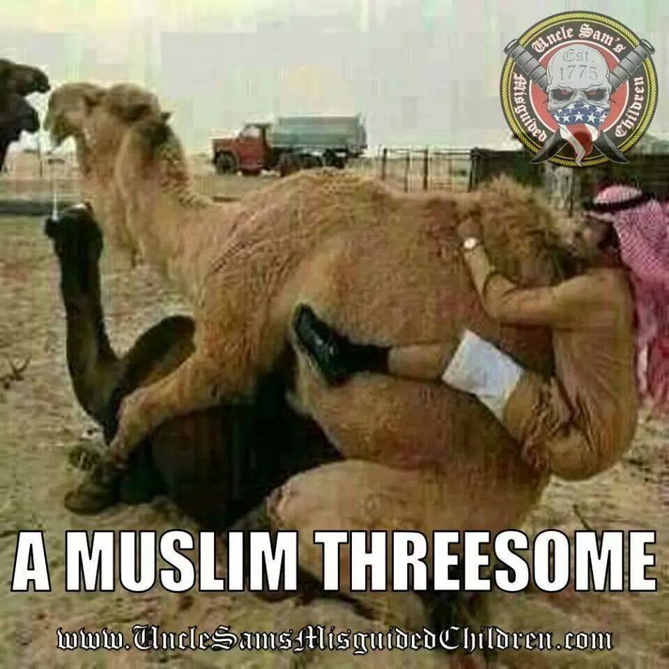 12144912_497362790423548_2714570951584133990_n