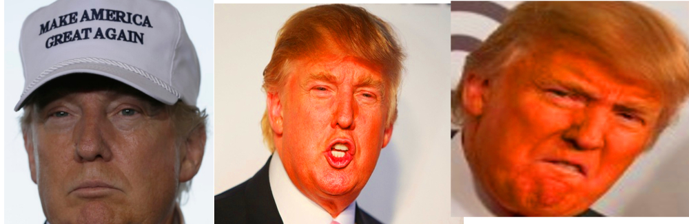 JEB BUSH: UN AÑO PARA TUMBAR A DONALD&nbsp;TRUMP