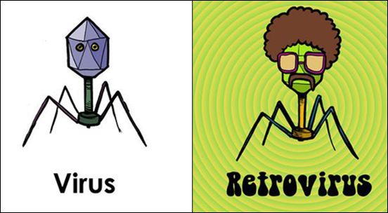 Diferencia entre virus y retrovirus / Difference between virus and&nbsp;retrovirus