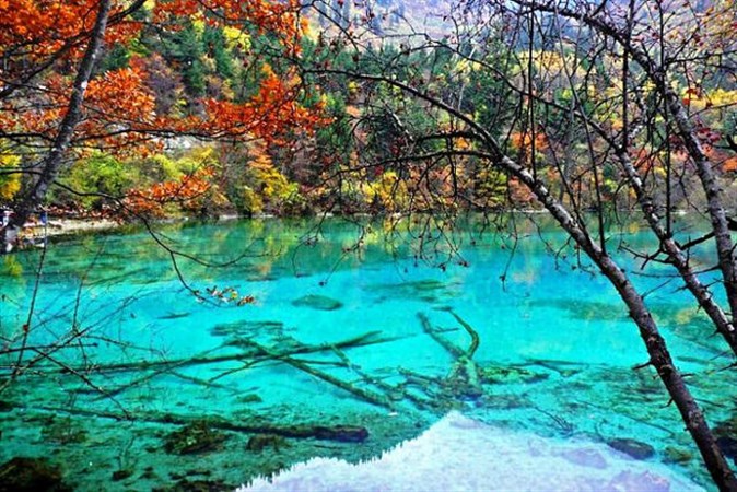 El río de los cinco colores, una de las maravillas naturales mas hermosas del&nbsp;mundo