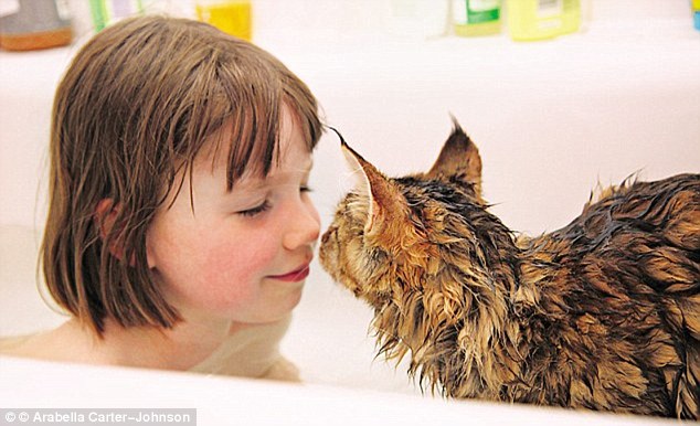 ASÍ ES CÓMO UNA GATA LE CAMBIÓ LA VIDA A UNA NIÑA CON&nbsp;AUTISMO