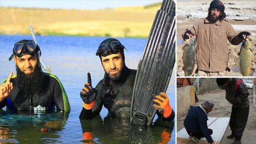 ESTADO ISLÁMICO MONTA PISCIFACTORIAS Y VENDE COCHES PARA&nbsp;FINANCIARSE