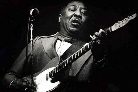 Muddy Waters
