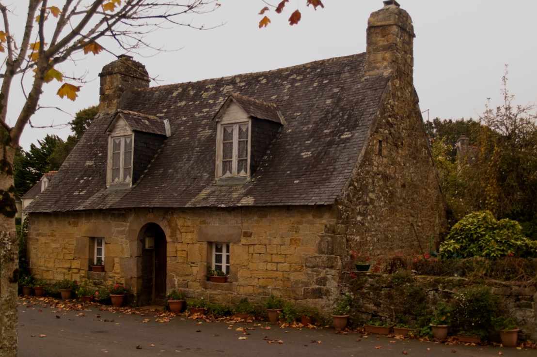 ¡Qué me dices!&nbsp;(XV)