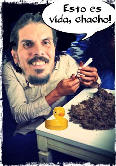 Despacho, asistente y paguita pública = podemita feliz