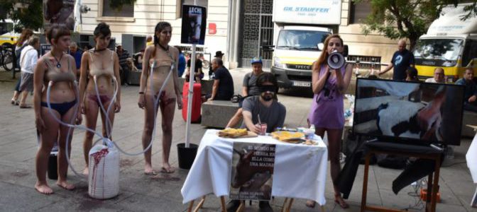 Como una regadera: ordeñar vacas también sería&nbsp;machista