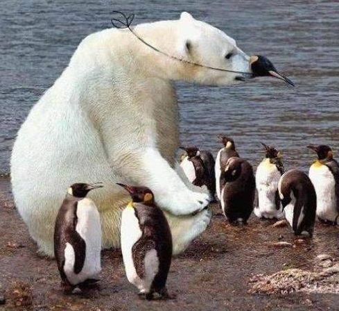 De incógnito / Incognito&nbsp;Mode