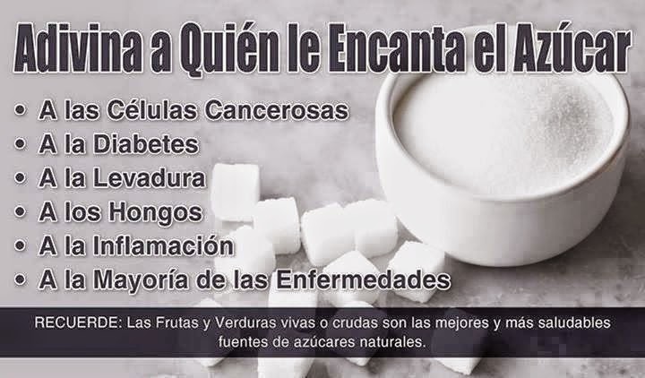 frutosmedicinales-blogspot-com