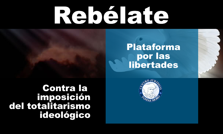 2016-12-20-rebelate-acciones-745x450