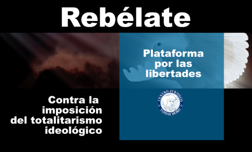 2016-12-20-rebelate-acciones-745x450