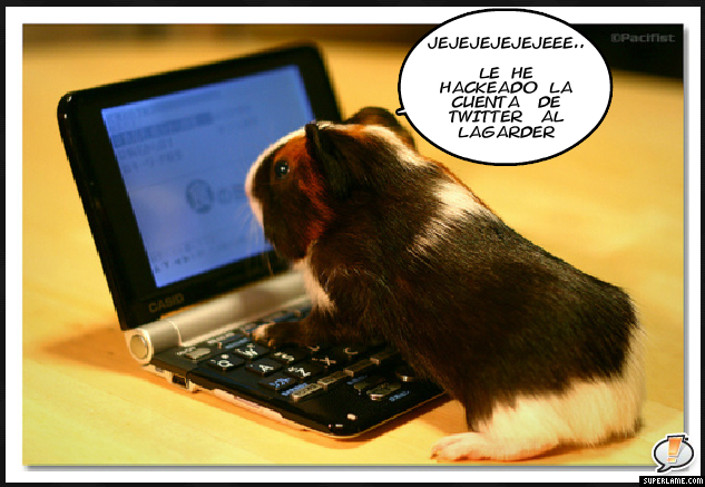 4028cea3413a8d3befb79de1c42f8c5c