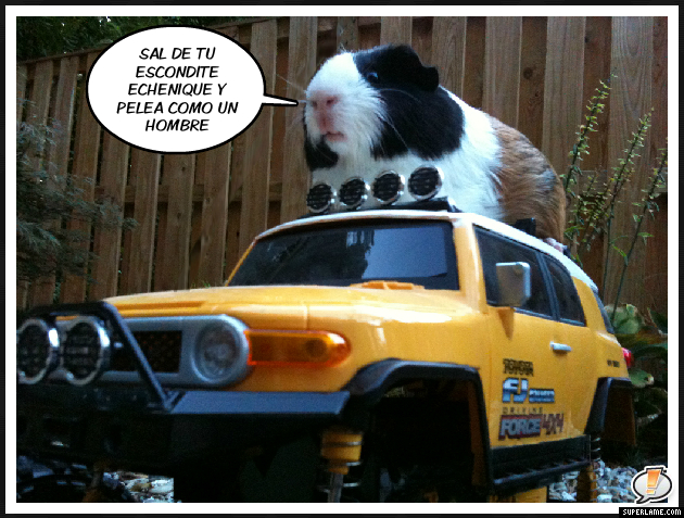 71b2a1f860fe32e610747c6219174c73