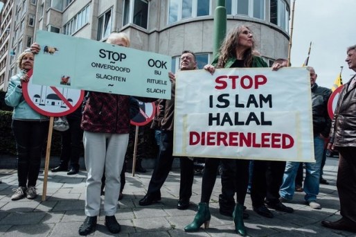 stop-islam-zakia-belkhiri