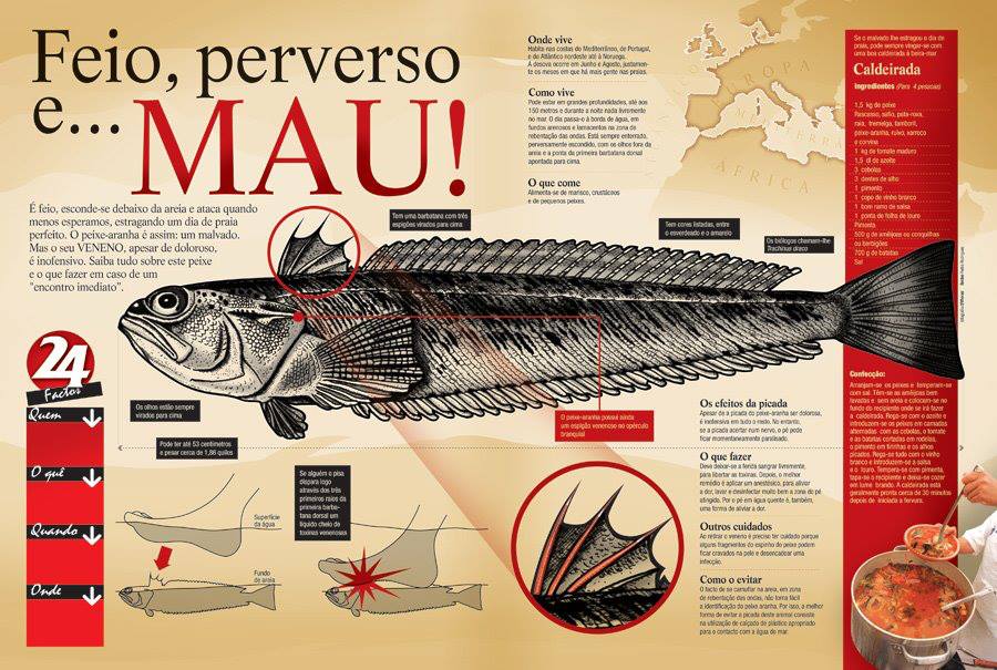 Image result for o terror dos mares