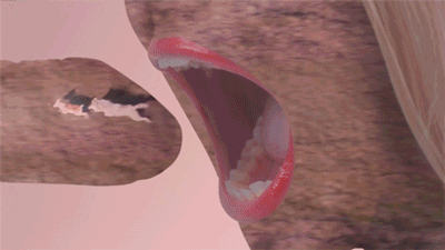 tumblr_nnxw5iVtSa1qa47uoo1_400