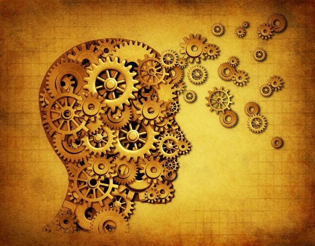 human_brain_mechanics_003