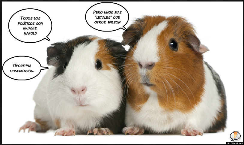 HAROLDYWILSONPOLÍTICA2