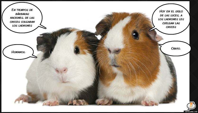 HAROLDYWILSONPOLÍTICA3