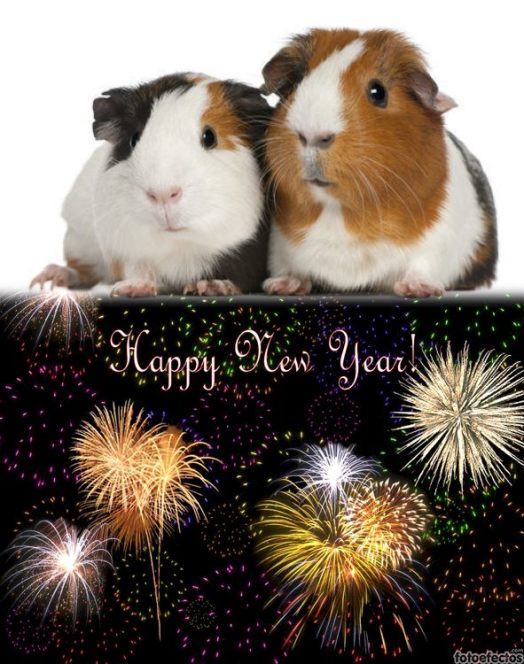 añonuevoharoldywilson