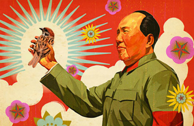 fantasc3ada-revolucionaria-y-el-hambre-las-vacas-de-fidel-y-los-gorriones-de-mao-por-manuel-llorens