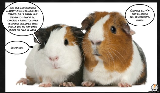 HAROLDYWILSONPOLÍTICA7