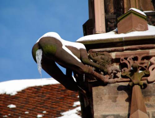 El invierno puede ser duro / Winter can be a rough&nbsp;time