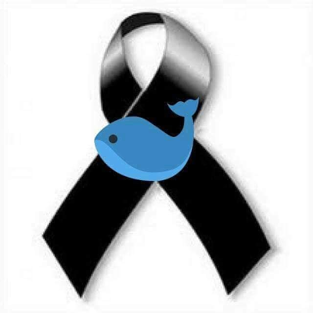 Descansa en paz&nbsp;pececito.