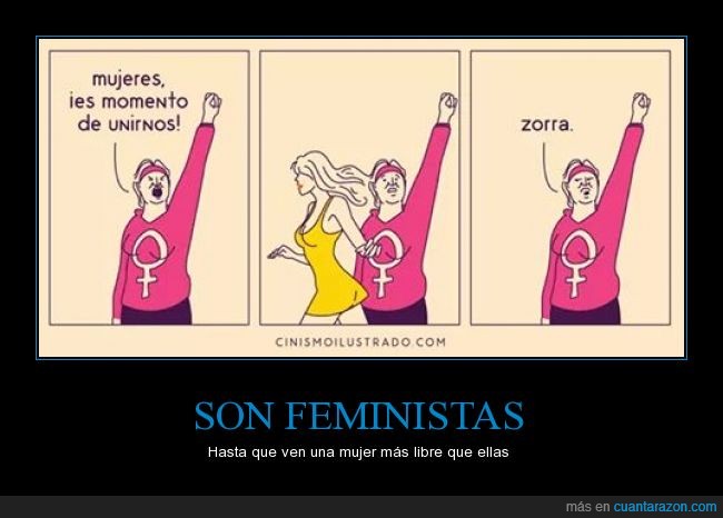 cr_958080_583cb40c3eae4d659b6607719101a8bb_son_feministas