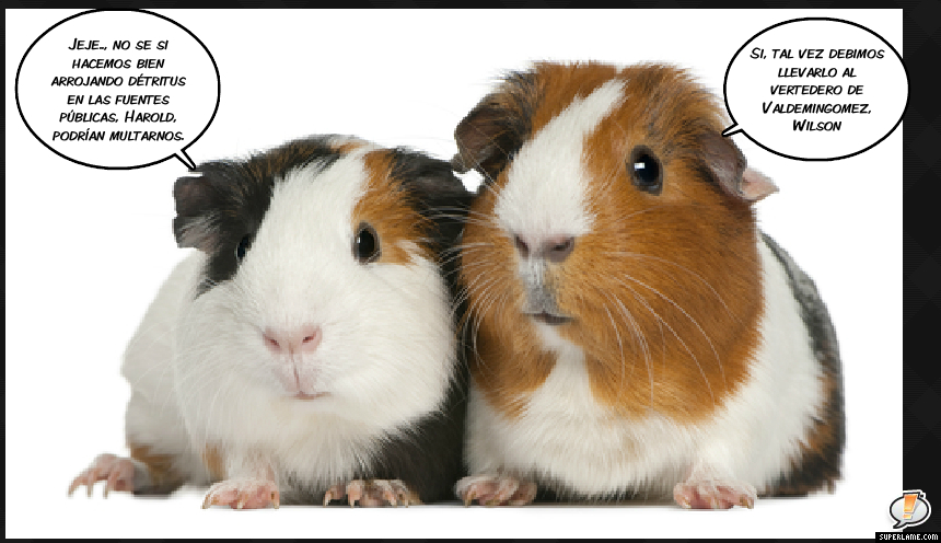 HAROLDYWILSONPOLÍTICA11