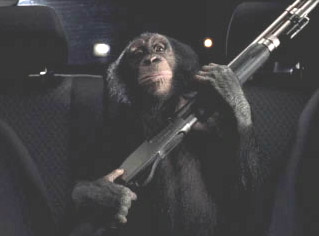 Resultado de imagen de monkey with gun