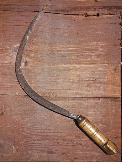 sickle-3369742_1920 - copia