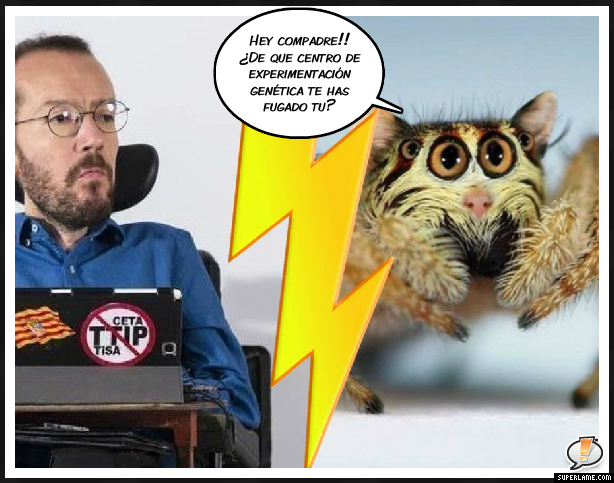 ECHENIQUE MONTAJES2
