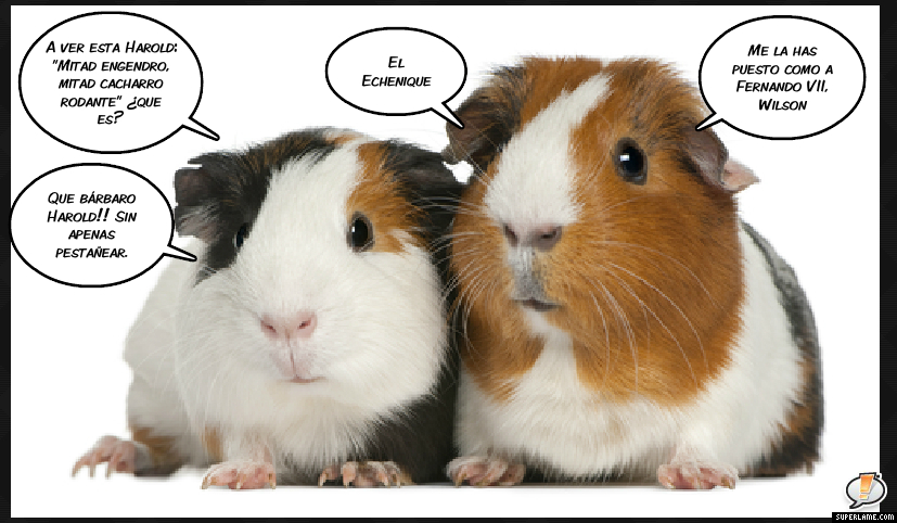 HAROLDYWILSONPOLÍTICA14