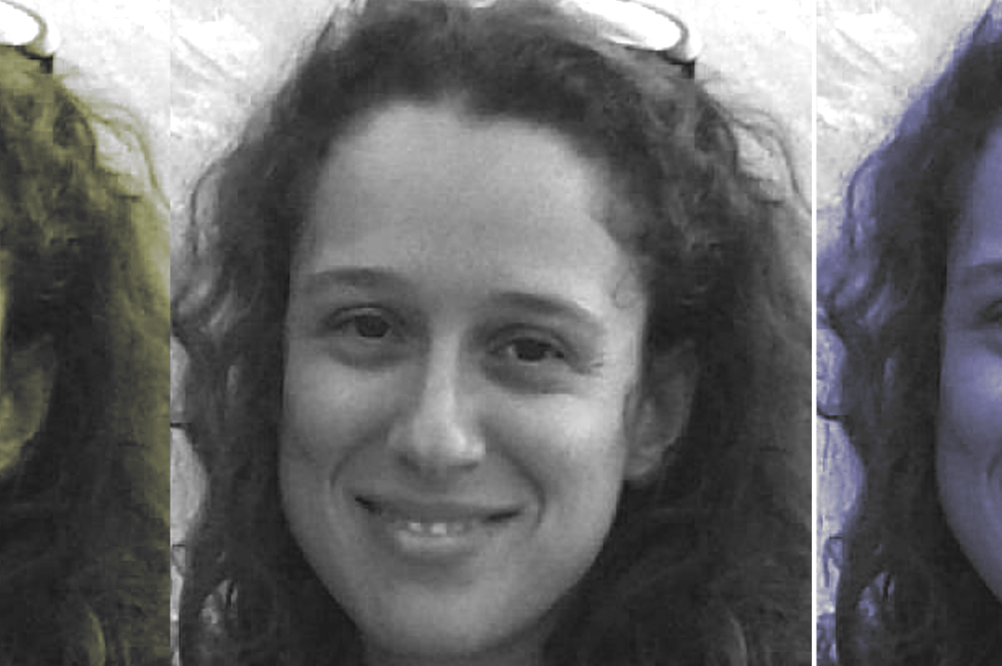 Judith Bergman : «La ONU declara una guerra sin cuartel a la libertad de&nbsp;expresión»