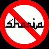 40905_113424908717666_100001504728045_103155_5558236_n