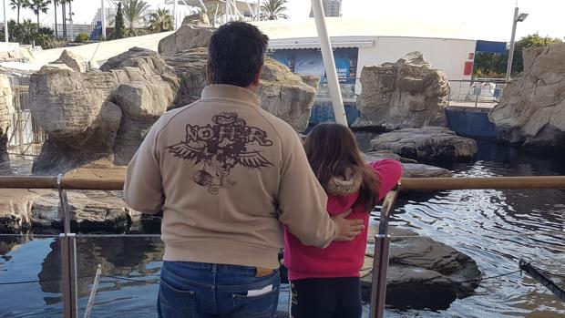 «Mi hija no puede ir de excursión escolar porque su padre habla en&nbsp;castellano»