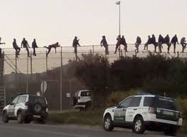 Asalto brutal a la valla de Melilla de 300 subsaharianos. Un guardia civil herido y entran 50